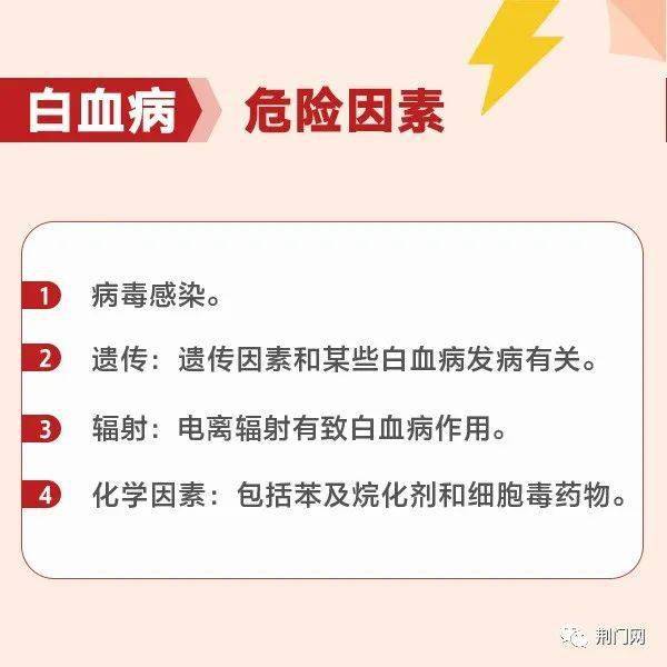 荊門(mén)最新招聘求職，探索職業(yè)發(fā)展的無(wú)限可能，荊門(mén)最新招聘求職信息，探索職業(yè)發(fā)展無(wú)限機(jī)遇