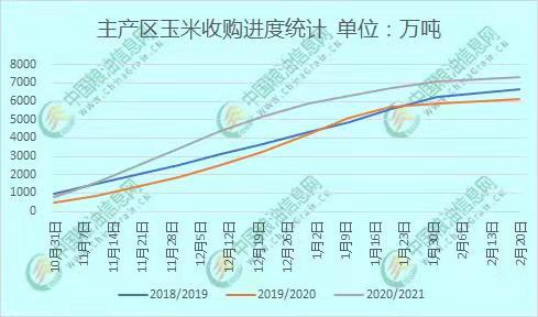 全國玉米價格最新行情分析，全國玉米價格最新行情解析