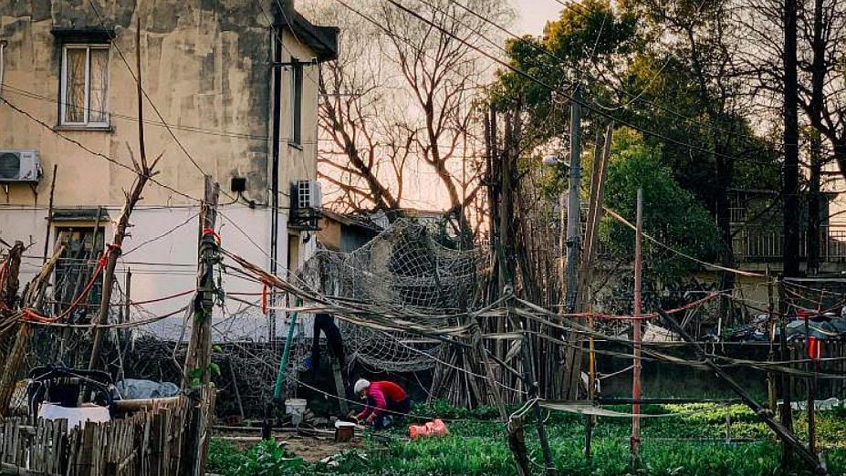 上海最新拆遷動態(tài)，變化中的城市面貌與居民生活，上海拆遷最新動態(tài)，城市面貌與居民生活的變遷