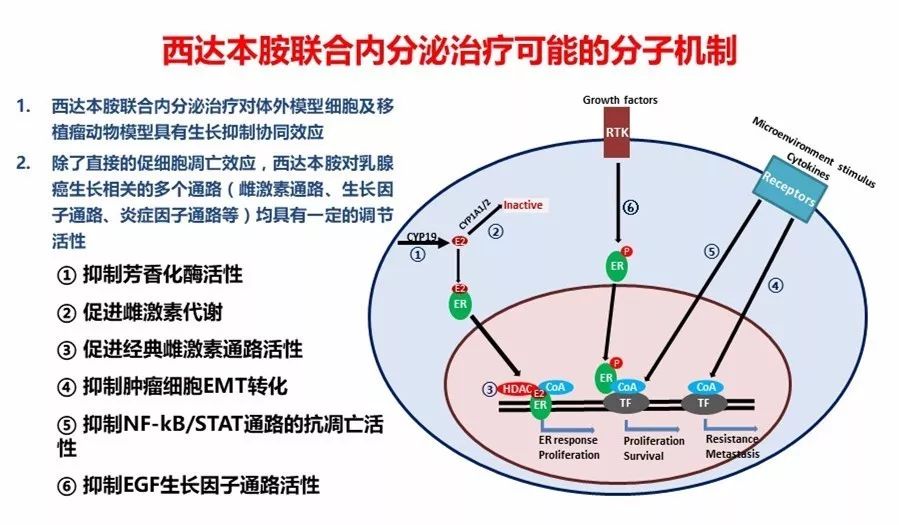 西達本胺最新消息，研發(fā)進展、應(yīng)用前景及市場趨勢分析，西達本胺最新研發(fā)進展、應(yīng)用前景與市場需求分析，最新消息和市場趨勢探討