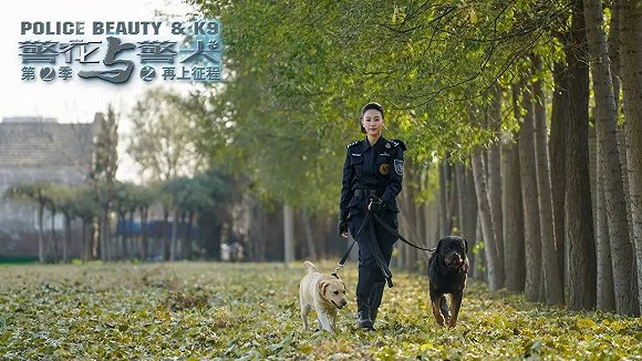 警花與警犬2最新消息，熱血回歸，人與犬的正義新篇章，警花與警犬2熱血回歸，人與犬的正義新篇章最新消息