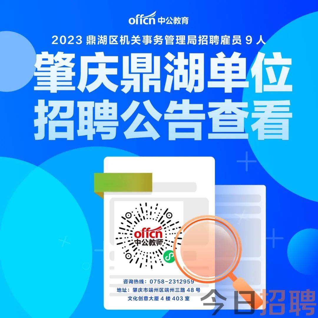 肇慶市招聘網最新招聘動態(tài)深度解析，肇慶市招聘網最新招聘動態(tài)深度解讀