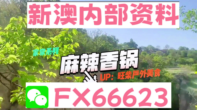 新澳準(zhǔn)資料免費(fèi)提供背后的犯罪問(wèn)題探討，新澳準(zhǔn)資料免費(fèi)提供背后的犯罪問(wèn)題深度探討