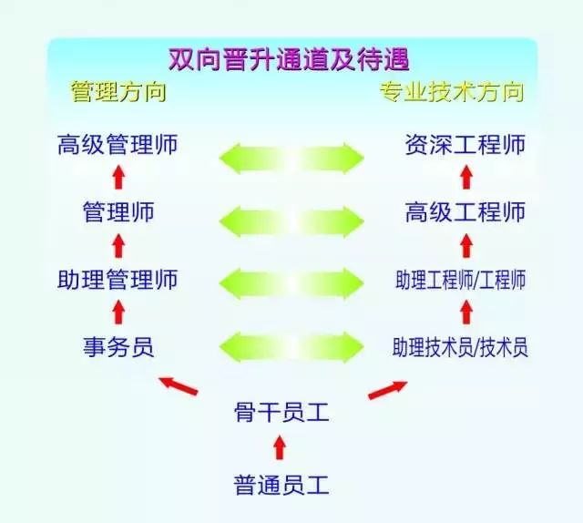 立訊精密最新招聘信息概覽，立訊精密最新招聘信息全面解析