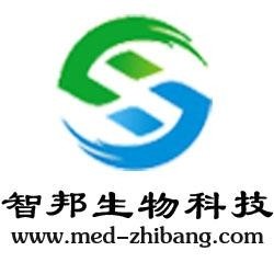 武漢維新智云科技有限公司，引領(lǐng)科技前沿，塑造數(shù)字未來(lái)，武漢維新智云科技，引領(lǐng)數(shù)字未來(lái)，科技前沿領(lǐng)航者