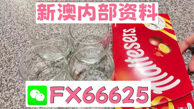 澳門正版資料免費大全新聞——警惕違法犯罪風(fēng)險，澳門正版資料免費大全新聞需警惕潛在違法犯罪風(fēng)險