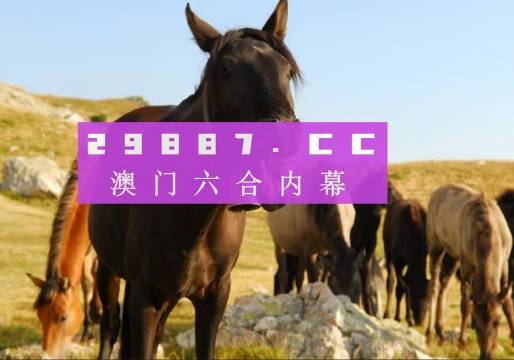 澳門管家婆與肖一碼，獨特的視角與精準(zhǔn)的預(yù)測，澳門管家婆與肖一碼，獨特視角與精準(zhǔn)預(yù)測揭秘