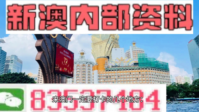 警惕新澳新澳門正版資料的潛在風(fēng)險(xiǎn)——揭示違法犯罪問題，警惕新澳新澳門正版資料的潛在風(fēng)險(xiǎn)，揭示違法犯罪真相