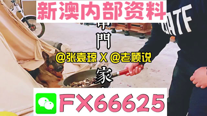 管家婆免費資料大全公開，探索與解析，管家婆免費資料大全揭秘，探索與解析