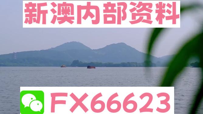 揭秘新澳精準(zhǔn)資料大全背后的真相與風(fēng)險(xiǎn)警示，揭秘新澳精準(zhǔn)資料背后的真相與風(fēng)險(xiǎn)警示全解析