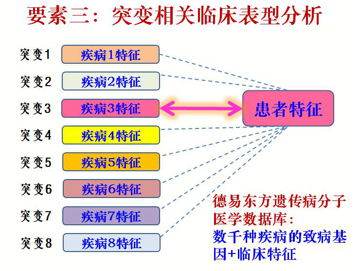 臺塑石化倒閉原因分析，臺塑石化倒閉原因深度解析