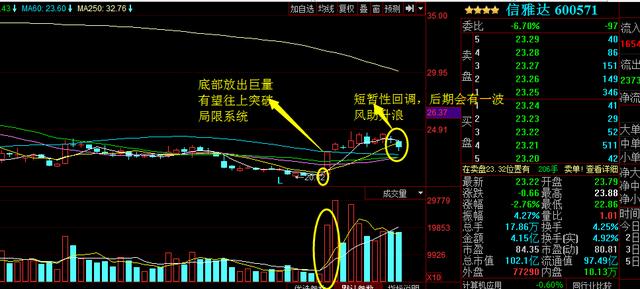 浙大網(wǎng)新為何不漲，深度探究與理性分析，浙大網(wǎng)新股價(jià)不漲背后的原因深度探究與理性分析