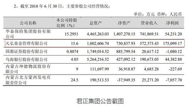 君正集團(tuán)未來估值，展望與預(yù)測(cè)