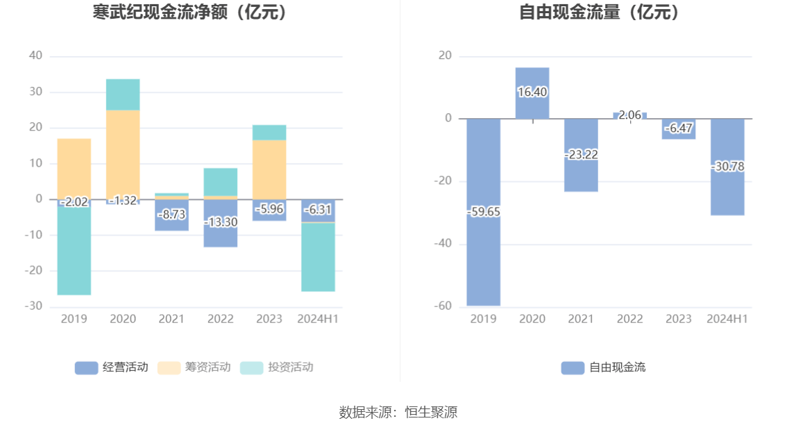 寒武紀2024年目標價的深度解析與展望，寒武紀2024年目標價的深度解析及展望，未來趨勢與市場預(yù)測