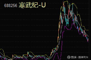 寒武紀(jì)重組最新消息，引領(lǐng)科技變革的新篇章，寒武紀(jì)重組引領(lǐng)科技變革新篇章，最新消息揭秘