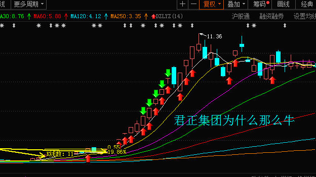 君正云通，一只10倍牛股的成長之路，君正云通，牛股成長之路揭秘，邁向十倍增長之路