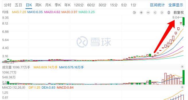 君正集團(tuán)，是妖股還是價(jià)值投資之選？，君正集團(tuán)，價(jià)值投資還是妖股之爭(zhēng)？