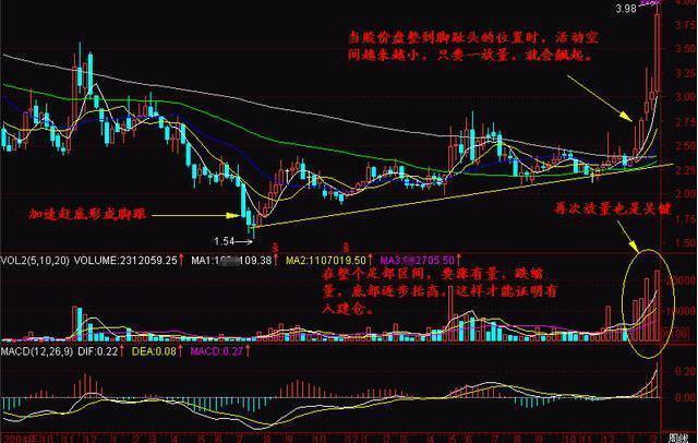 探尋未來之星，2025年有望翻十倍的潛力股票，探尋未來之星，潛力股票展望2025年十倍增長之路