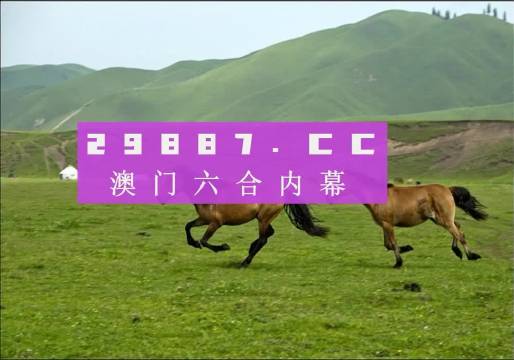 澳門跑狗,高效策略設(shè)計_AR27.125