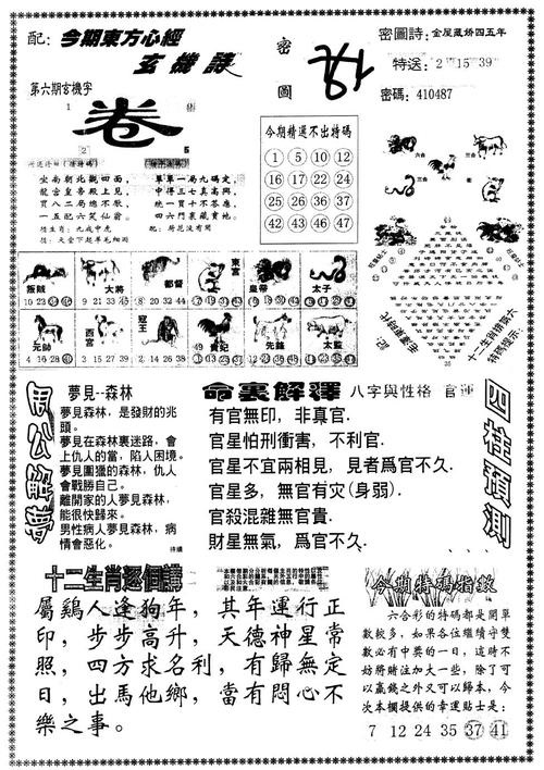 澳門正版資料大全與貧困問題的探討，澳門正版資料與貧困問題深度探討