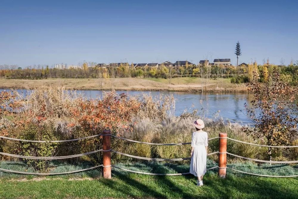 西安最新濕地公園，生態(tài)與文化的完美融合，西安最新濕地公園，生態(tài)與文化的和諧共融