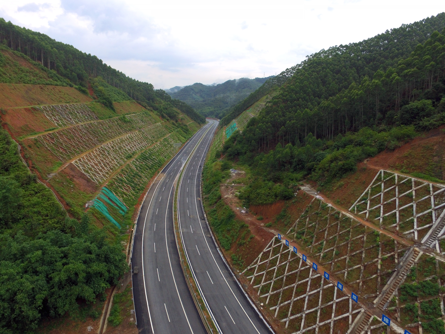 梧州最新道路，城市發(fā)展的脈絡(luò)與未來(lái)展望，梧州最新道路，城市發(fā)展的脈絡(luò)與未來(lái)展望展望