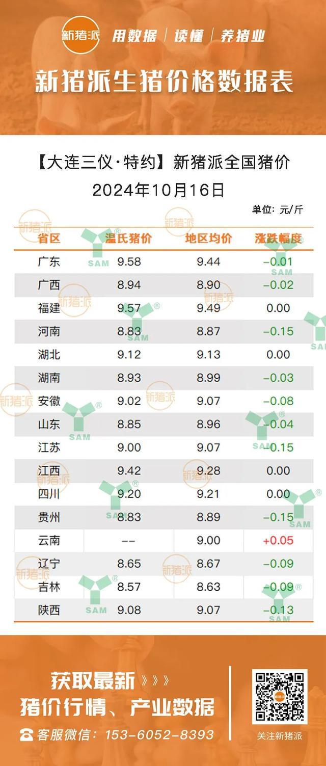 最新仔豬市場(chǎng)行情分析，最新仔豬市場(chǎng)行情深度解析