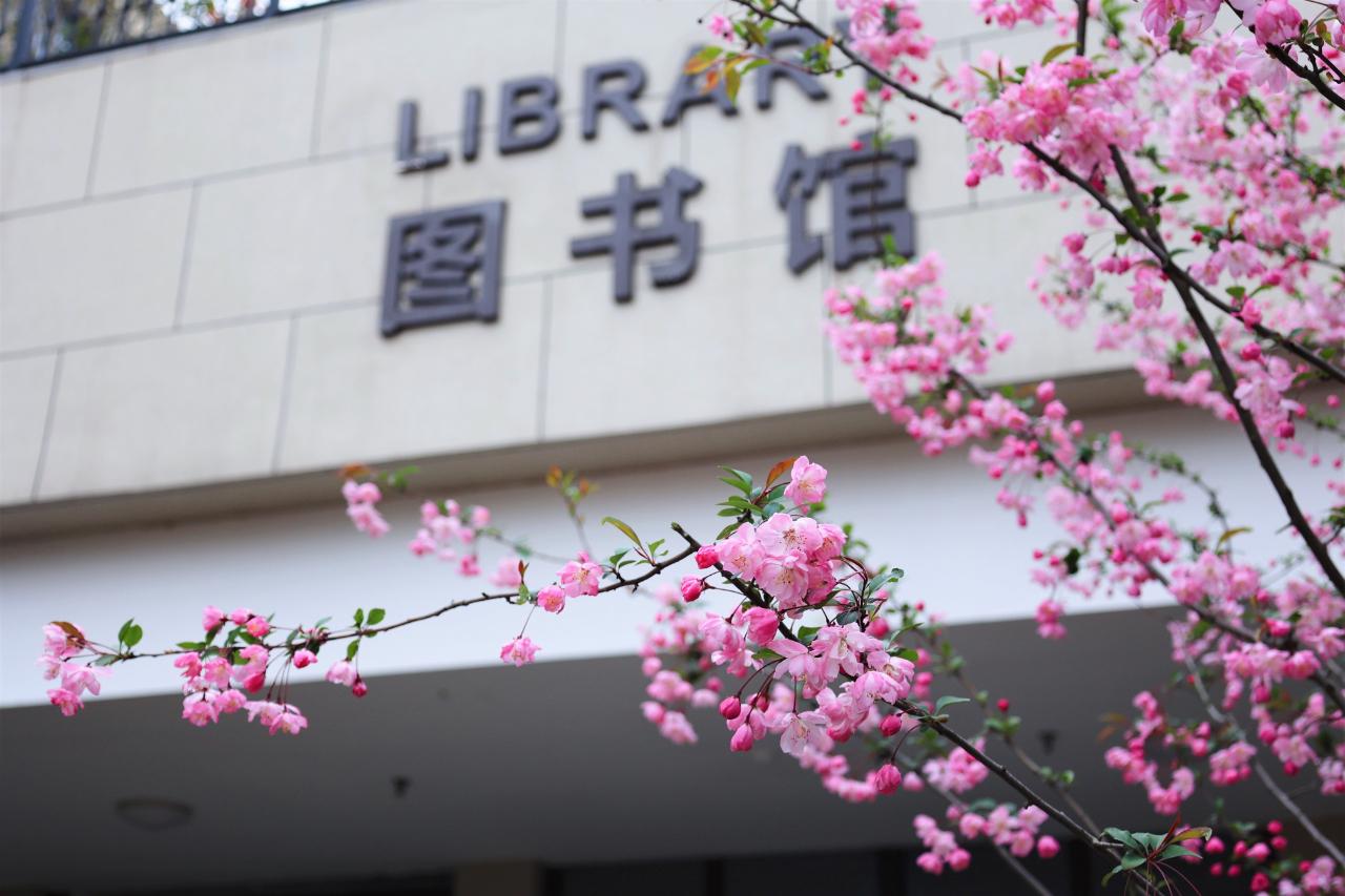 學?；貞獔D書館放置一路生花，深化校園文化，弘揚正能量，學校實施文化弘揚，圖書館放置一路生花深化正能量校園文化響應啟動