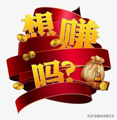 一天賺500，如何實現(xiàn)你的收入目標，一天賺500，實現(xiàn)你的收入目標指南