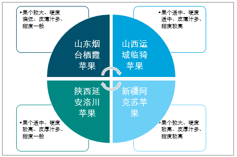 陜西蘋果產(chǎn)業(yè)全產(chǎn)業(yè)鏈深度解析，陜西蘋果產(chǎn)業(yè)全產(chǎn)業(yè)鏈深度探究