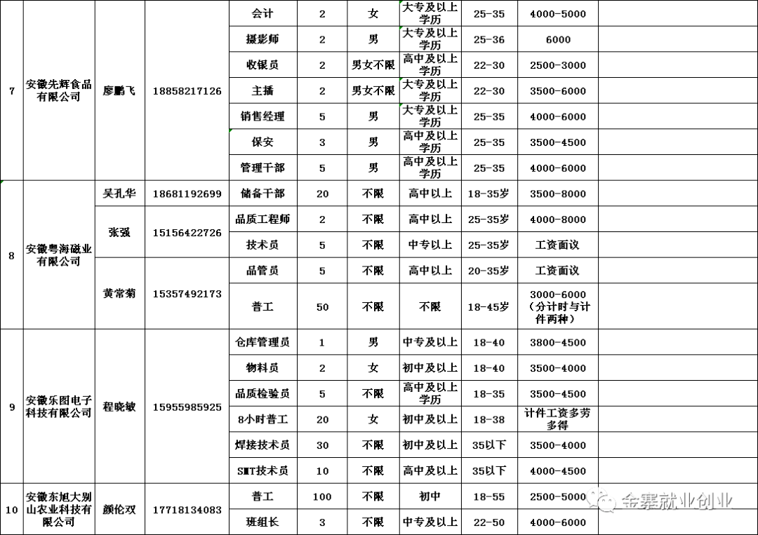 金寨在線最新招聘信息概覽，金寨在線最新招聘信息全面解析