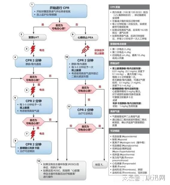 最新CPR（心肺復(fù)蘇術(shù)）流程詳解，最新CPR（心肺復(fù)蘇術(shù)）流程全面解析