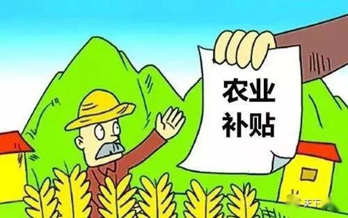 影響分析/深度解析