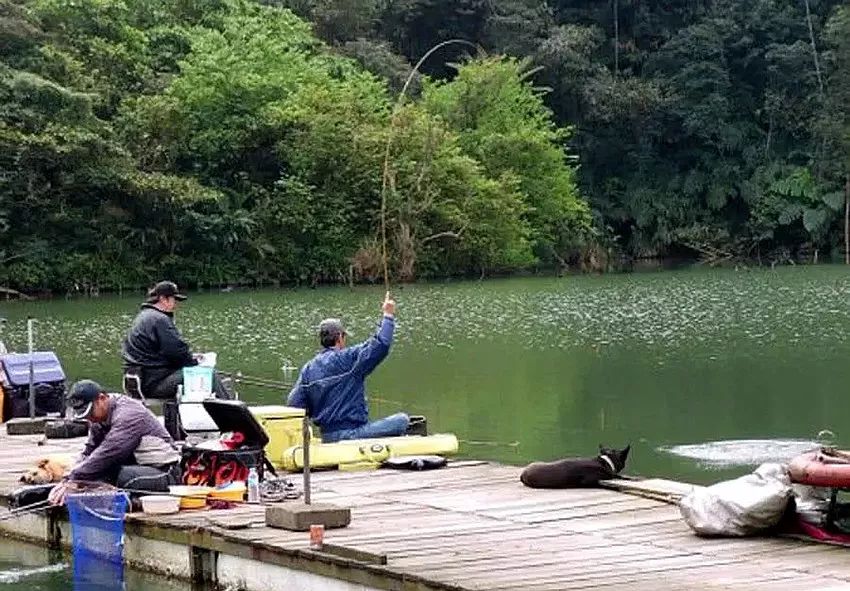 釣魚圈的奇事趣聞，釣魚圈里的奇聞趣事