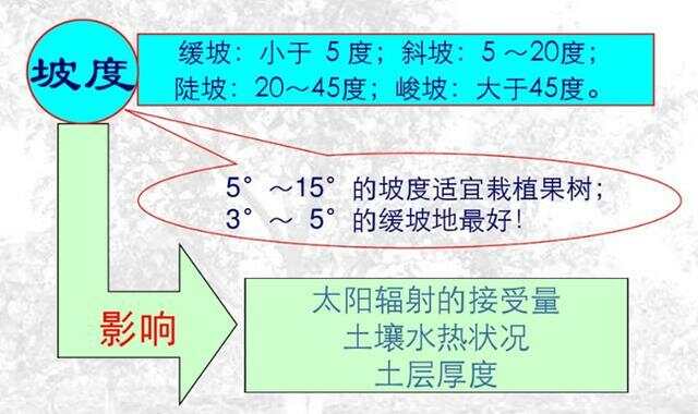 坡度超過(guò)25度耕地減少的原因分析，坡度超過(guò)25度耕地減少的原因探究