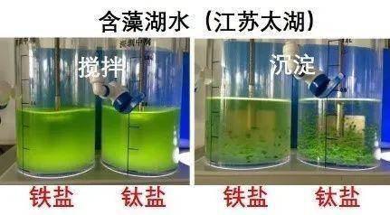 最新凈水材料的革新與應(yīng)用，凈水材料革新與應(yīng)用進(jìn)展