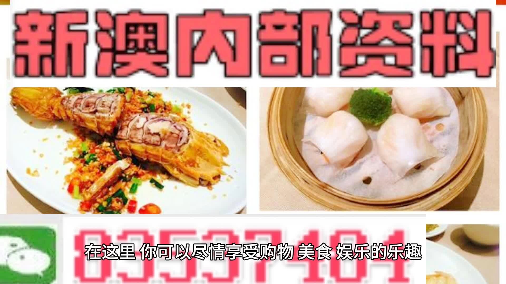 新奧天天精準資料大全，探索與解析，新奧天天精準資料大全，深度探索與全面解析