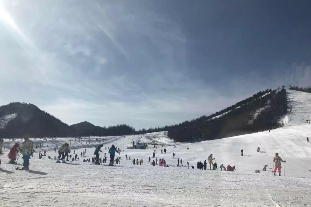 滑雪最好的地方，探索雪域奇境的魅力，探索雪域奇境，滑雪的最佳勝地