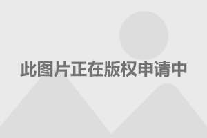 電視劇護心演員表深度解析，電視劇護心演員表深度解析與角色剖析