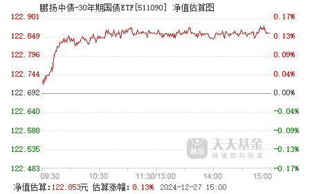 鵬揚(yáng)中債-30年期國債ETF，深度解析及其投資策略，鵬揚(yáng)中債-30年期國債ETF深度解析與投資策略探討