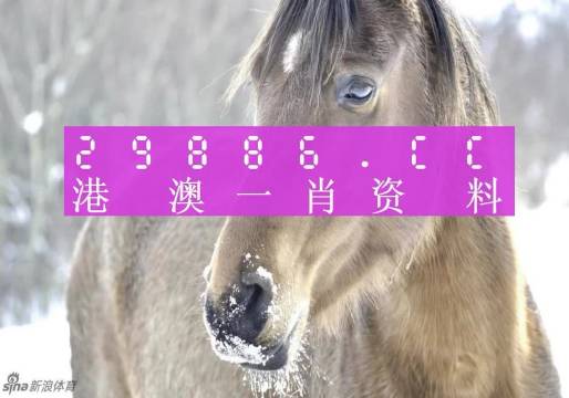 澳門精準(zhǔn)一肖一碼，揭示背后的犯罪風(fēng)險(xiǎn)與警示公眾的重要性，澳門精準(zhǔn)一肖一碼背后的犯罪風(fēng)險(xiǎn)與公眾警示重要性揭秘