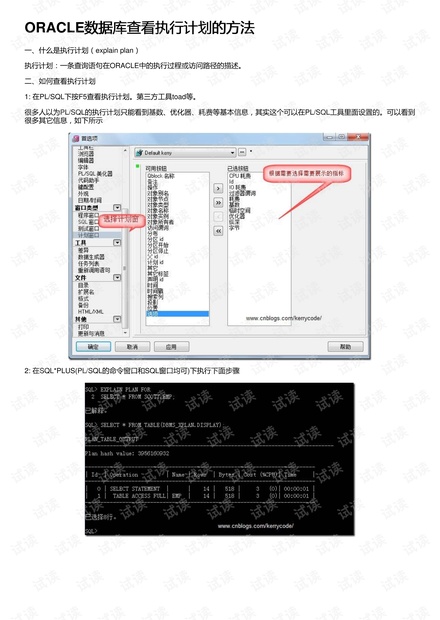 王中王72385.cσm查詢,深入執(zhí)行計(jì)劃數(shù)據(jù)_冒險款95.900