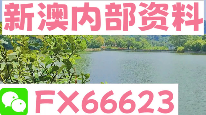 新澳精準(zhǔn)資料免費提供網(wǎng)站排行榜