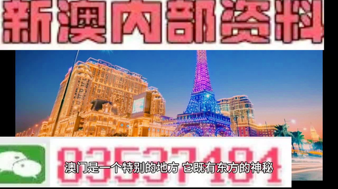 探索澳門特馬的世界，2024年的今晚，澳門特馬世界的探索之旅，2024年今晚之夜