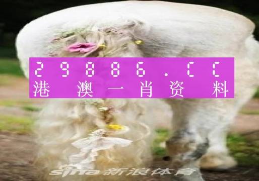 澳門(mén)內(nèi)部資料精準(zhǔn)大全2023，揭示背后的風(fēng)險(xiǎn)與挑戰(zhàn)，澳門(mén)內(nèi)部資料精準(zhǔn)大全揭秘，風(fēng)險(xiǎn)與挑戰(zhàn)并存于2023年