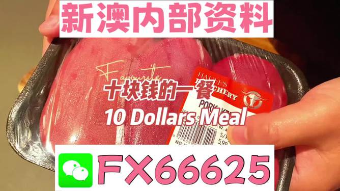 新澳全年免費(fèi)資料大全，探索與收獲，新澳全年免費(fèi)資料大全，探索之旅與收獲的時(shí)刻