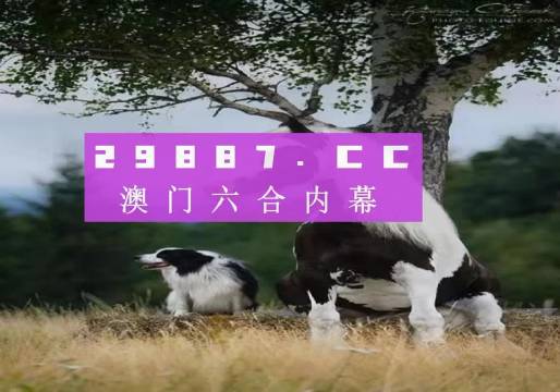 澳門今晚開特馬四不像圖——探索澳門彩票的奧秘，澳門彩票奧秘探索，特馬四不像圖今晚揭曉