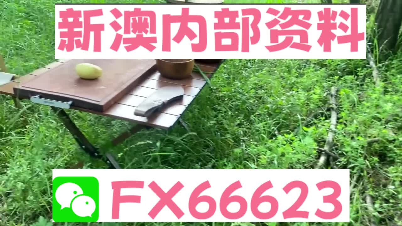 新澳天天開獎(jiǎng)資料大全與旅游攻略詳解，新澳天天開獎(jiǎng)資料及旅游攻略詳解大全