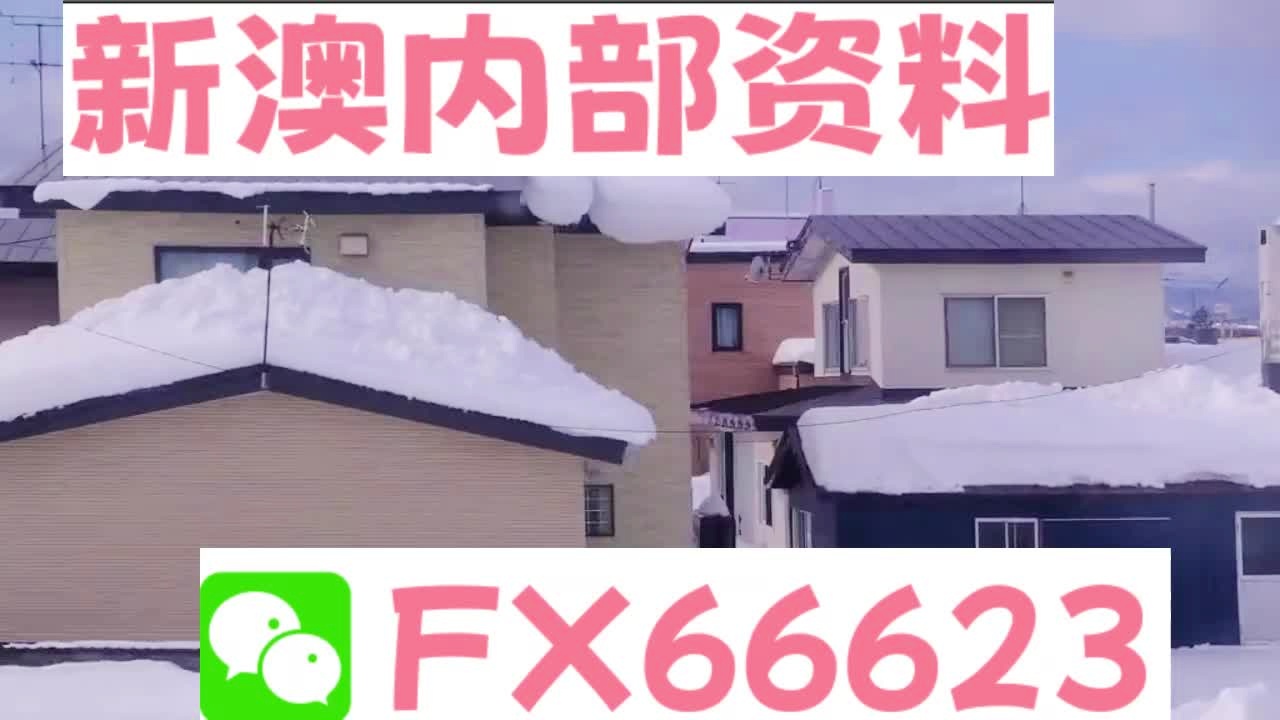 新奧天天精準(zhǔn)資料大全，深度解析與實(shí)際應(yīng)用，新奧天天精準(zhǔn)資料大全，深度解析及實(shí)際應(yīng)用指南