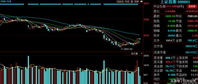 中成股份，探尋未來(lái)之路，2024年能否成為妖股之星？，中成股份，探尋未來(lái)之路，2024年妖股潛力展望